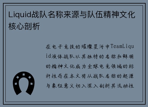 Liquid战队名称来源与队伍精神文化核心剖析