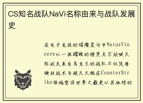 CS知名战队NaVi名称由来与战队发展史
