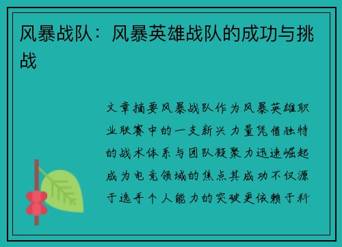 风暴战队：风暴英雄战队的成功与挑战
